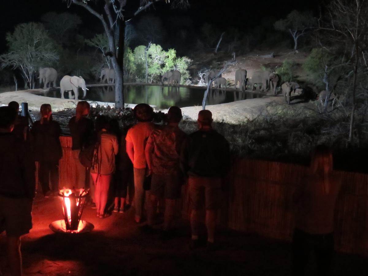 Ndzuti Safari Camp Villa Balule Wildreservaat Buitenkant foto