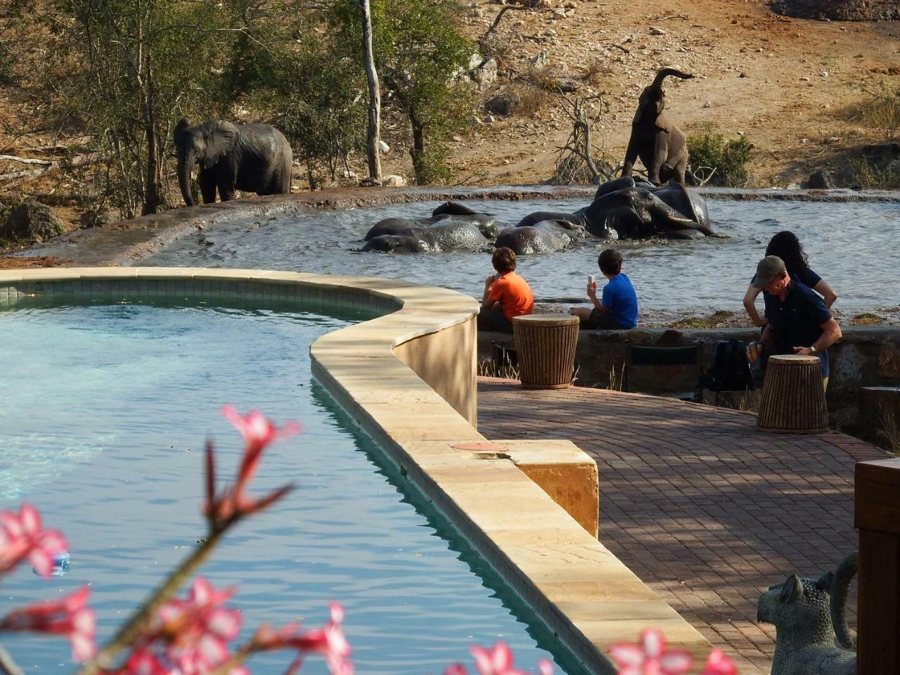 Ndzuti Safari Camp Villa Balule Wildreservaat Buitenkant foto