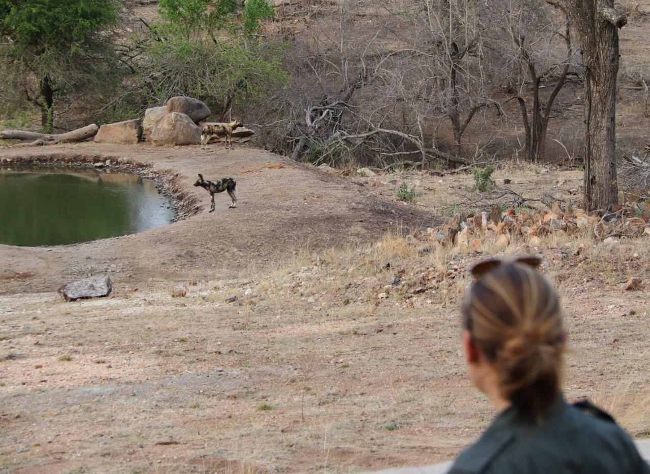 Ndzuti Safari Camp Villa Balule Wildreservaat Buitenkant foto