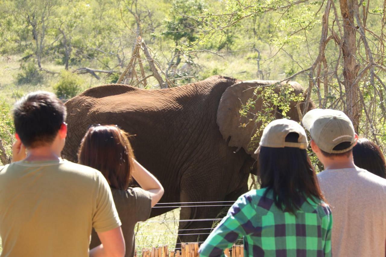 Ndzuti Safari Camp Villa Balule Wildreservaat Buitenkant foto