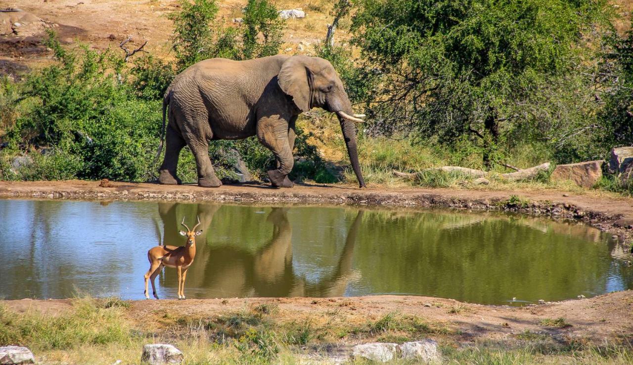 Ndzuti Safari Camp Villa Balule Wildreservaat Buitenkant foto