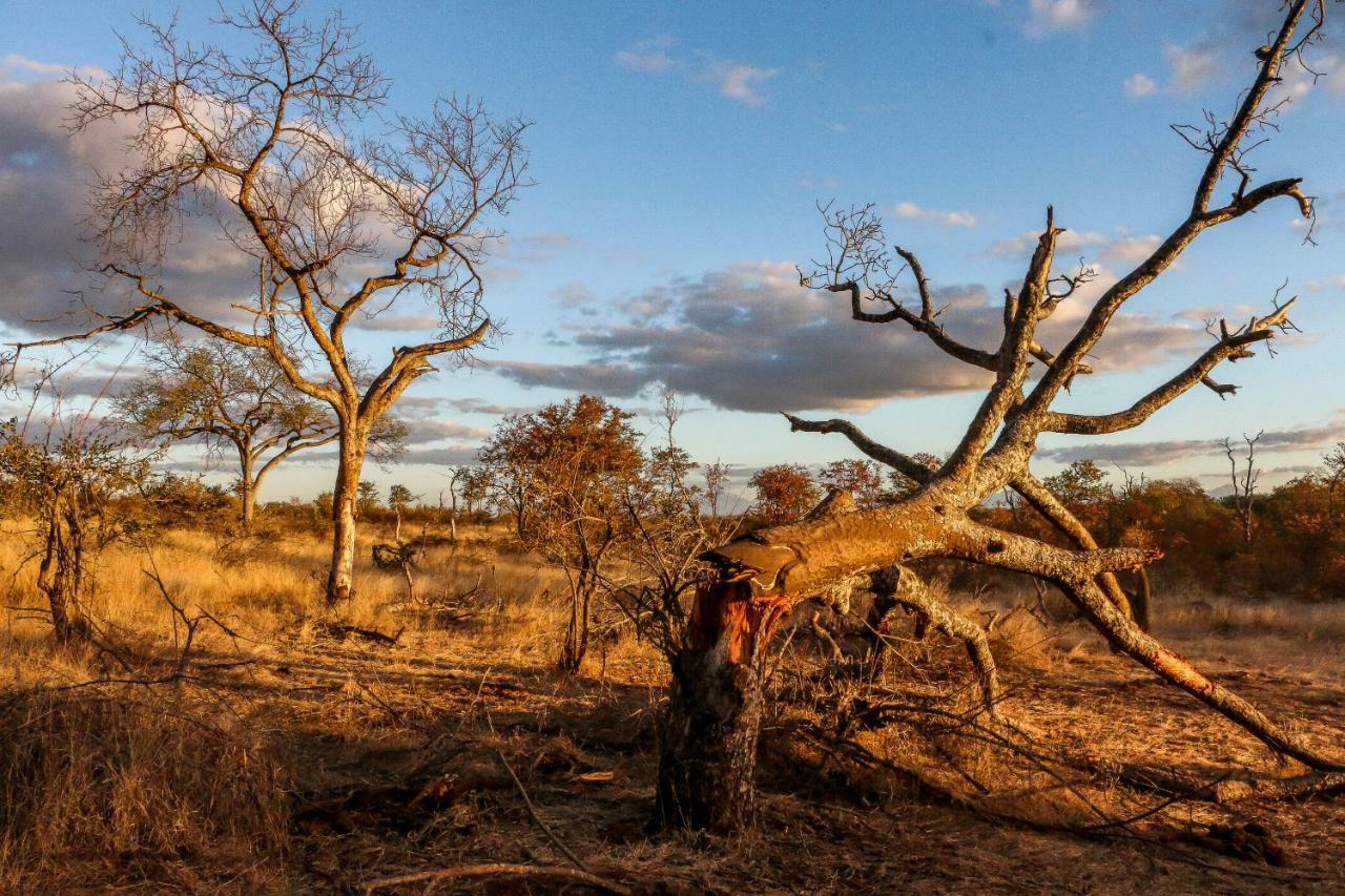 Ndzuti Safari Camp Villa Balule Wildreservaat Buitenkant foto