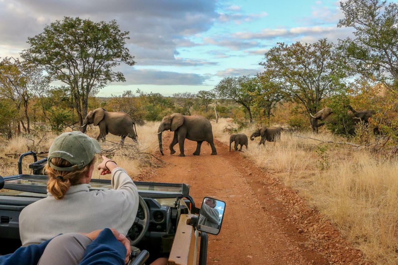 Ndzuti Safari Camp Villa Balule Wildreservaat Buitenkant foto