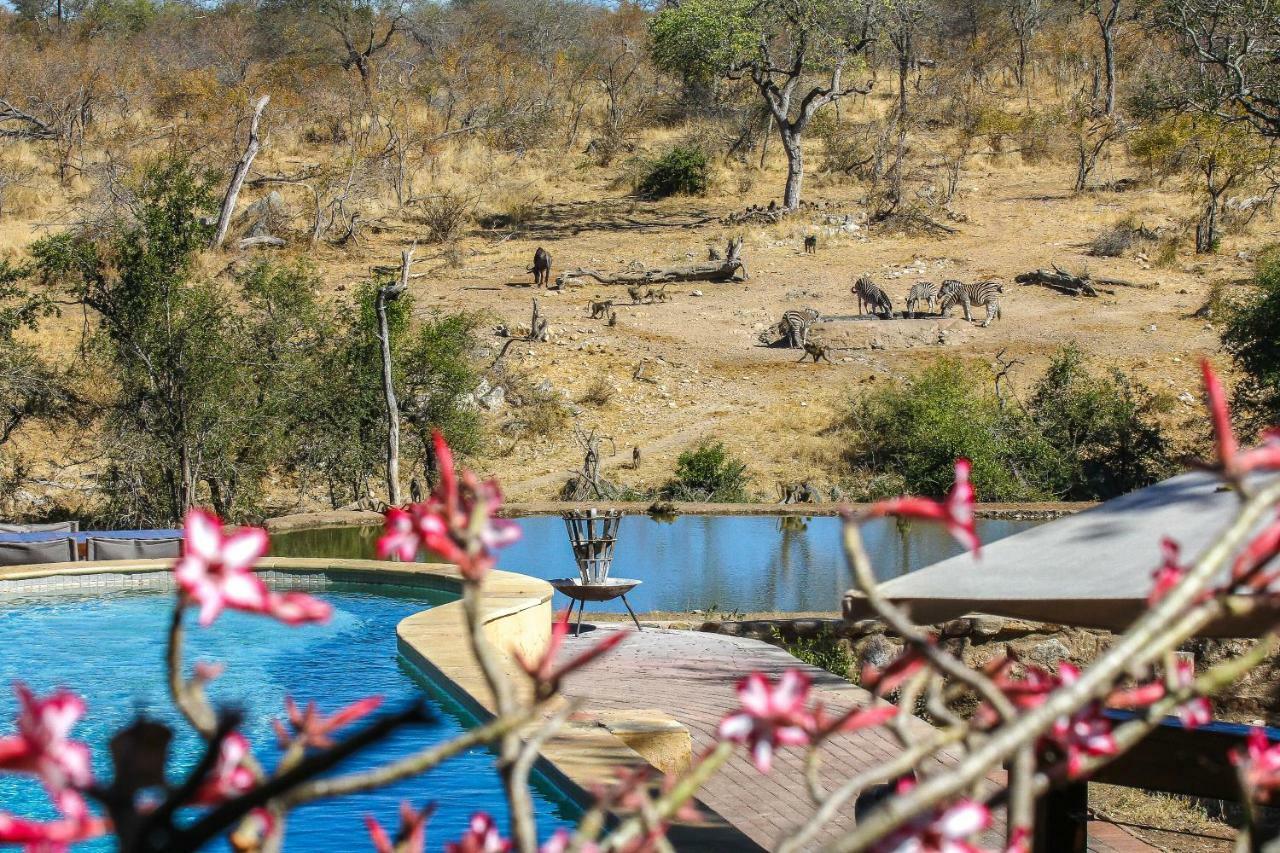 Ndzuti Safari Camp Villa Balule Wildreservaat Buitenkant foto